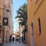 From Olbia: Full day trip to Corsica - The Experience: Pros and Cons