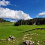 From Oradea: Apuseni Mountains Guided Hiking Tour - Practical Details and Comfort