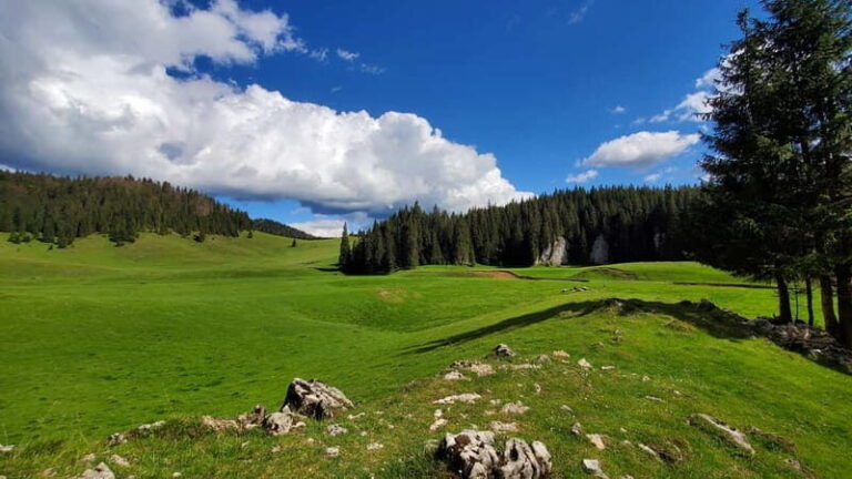 From Oradea: Apuseni Mountains Guided Hiking Tour - Practical Details and Comfort