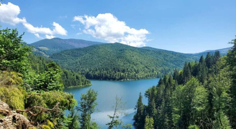 From Oradea: Mountain Bike around Lake Dragan - The Itinerary: What You’ll Experience