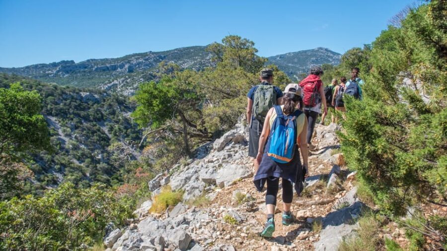 From Orosei/Dorgali: Hike to Cala Luna - Guided Day Trip - Why This Tour Works