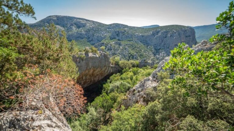From Orosei or Dorgali: Guided Hike to Tiscali mount - What the Reviews Say