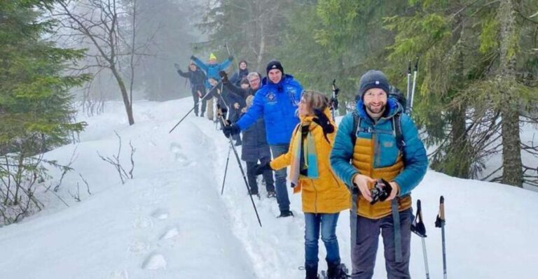 From Oslo: Oslomarka Forest Guided Snowshoeing Tour - Small Group and Personal Touches