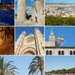 From Palma: Alcudia Town and Port de Pollença Guided Tour - Price and Value