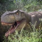 From Palma de Mallorca: Dinosaurland tour - Arrival at Dinosaur Land Mallorca