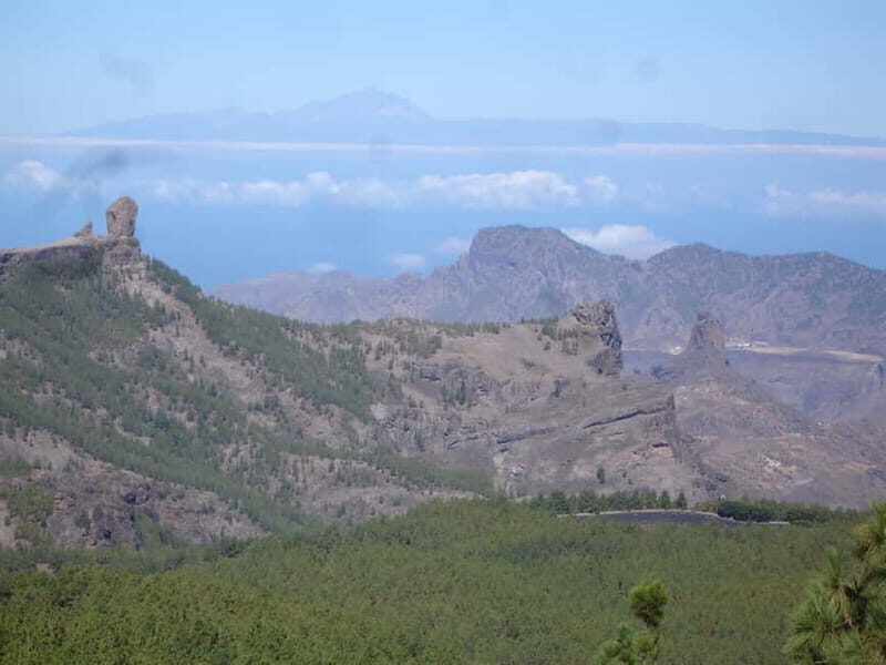 From Palmas: Pico de las Nieves & Roque Nublo Full-Day Trip - What to Keep in Mind