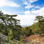 From Paphos: Caledonia Waterfalls Walking Tour with Lunch - The Itinerary Breakdown