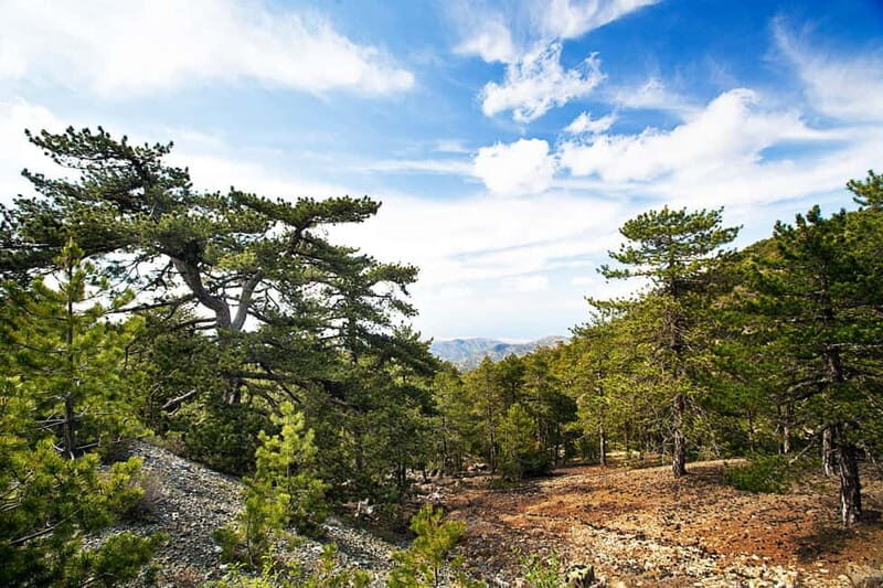 From Paphos: Caledonia Waterfalls Walking Tour with Lunch - The Itinerary Breakdown