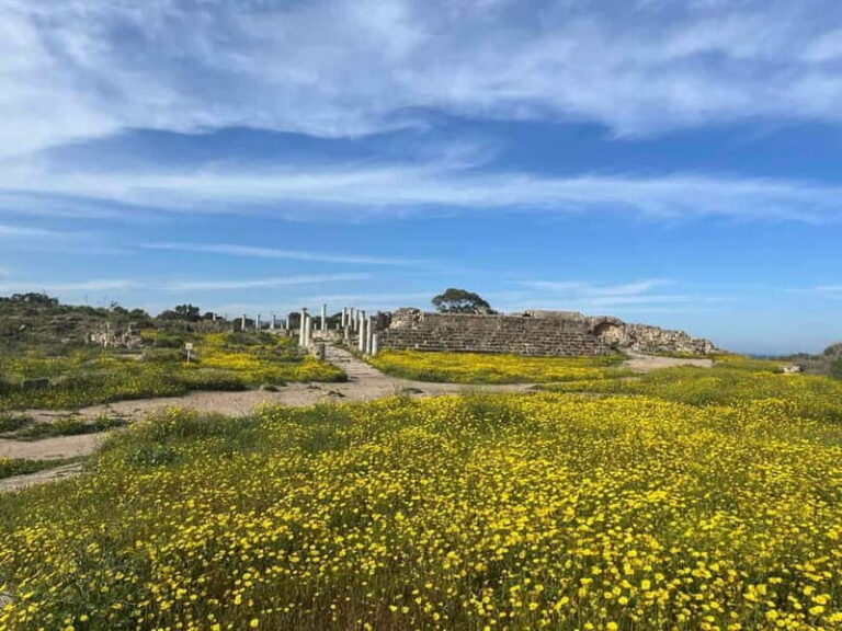 From Paphos: Famagusta, Salamis, and Varosha Walking Tour - Practicalities and Experience Details