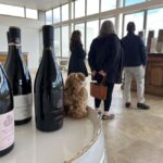 From Paris: Burgundy Chablis Wine & Cheese Tasting Day Trip - What’s Included & What to Consider