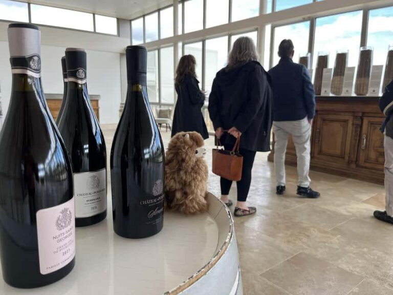 From Paris: Burgundy Chablis Wine & Cheese Tasting Day Trip - What’s Included & What to Consider