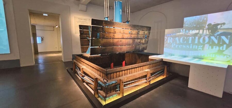 From Paris: Champagne Cellars and Vineyards Tour and Tasting - The Transportation and Logistics