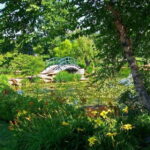 From Paris Excursion to Monet's Gardens - Giverny in minivan - Exploring Giverny’s Charm and Monet’s Home