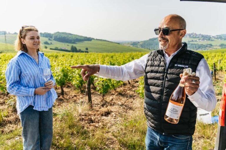 From Paris: Private Sancerre Wine Tour w 10 Tastings & Lunch - The Practicalities: Transport, Timing, and Cost