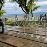 From Paris: Reims and Champagne Tasting Full-Day Tour - The Value of the Tour