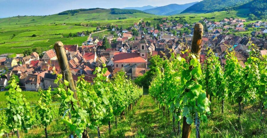 From Paris: Small-Group Champagne Day Trip with Six Tastings - The Real Value: Tasting, Learning, and Scenery