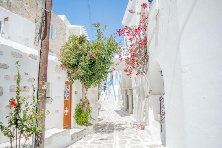 From Paros: Paros and Antiparos Islands Guided Tour - What We Think About the Price and Value