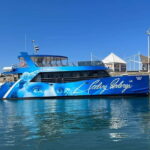From Peniche: Round-Trip Boat Tour of Berlengas Archipelago - What to Expect from the Berlengas Boat Tour