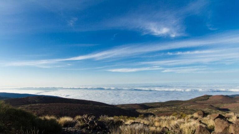 From Playa de las Américas: Full-Day Teide Jeep Safari - The 4WD Experience: Off-Road Fun and Scenic Drives