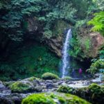 From Ponta Delgada: Hiking Moinho do Félix - The Route and Its Highlights