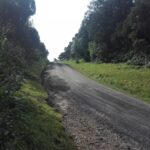 From Ponta Delgada: Vista do Rei to Sete Cidades Guided Trek - The Highlights of the Tour