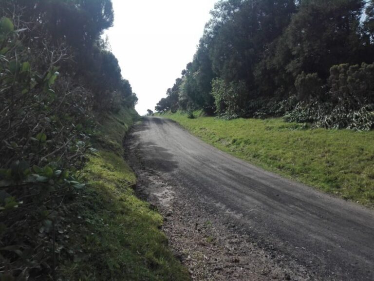 From Ponta Delgada: Vista do Rei to Sete Cidades Guided Trek - The Highlights of the Tour