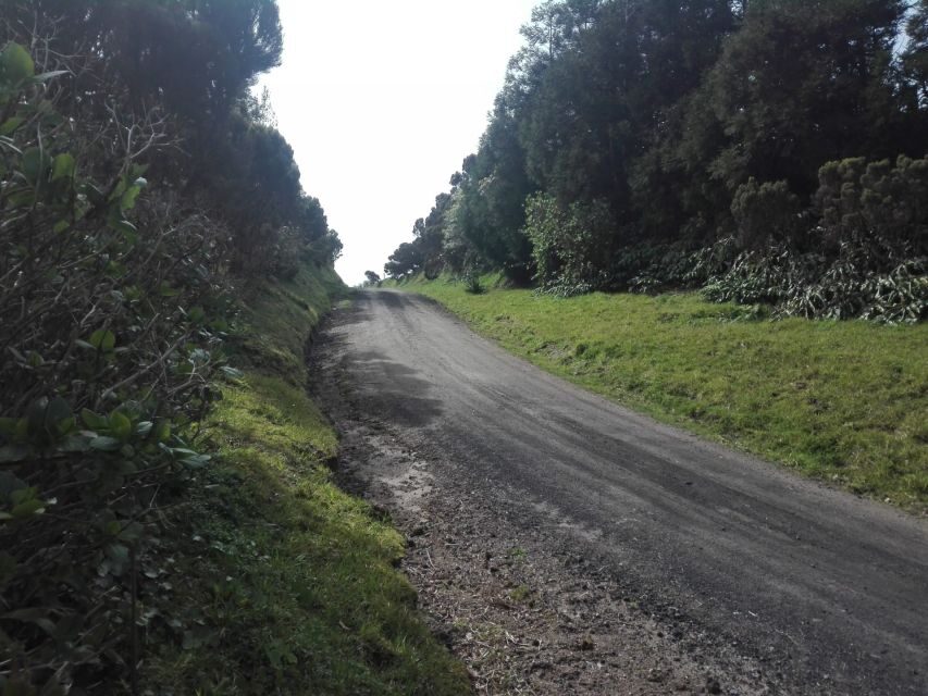 From Ponta Delgada: Vista do Rei to Sete Cidades Guided Trek - The Highlights of the Tour