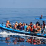 From Ponta Delgada: Whale and Dolphin Watching Trip - The Experience from Reviews