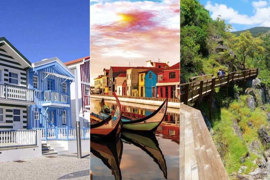 From Porto: Aveiro Boat, Paiva Suspension Bridge & Walkways - The Real Traveler Insights
