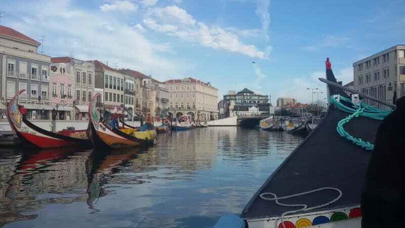 From Porto: Aveiro & Coimbra Tour with Moliceiro Boat Cruise - How This Tour Works in Practice