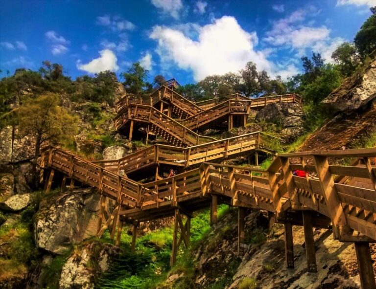 From Porto: Aveiro, Paiva Walkways, & Suspension Bridge Tour - Why the Tour Gets High Praise