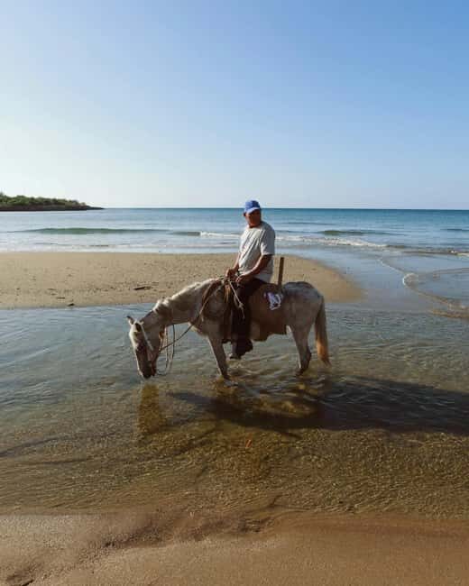 From Porto: Beach Horseback Ride + Brunch + Pickup - The Brunch and Free Time