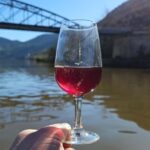 From Porto Day Douro Valley Wine Tour 2 Wine Tasting & Lunch - How the Experience Comes Together