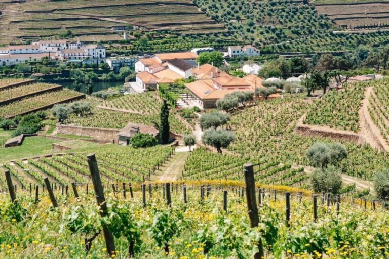 From Porto: Douro Valley - half a day on a wine experience - Who Will Love This Experience?
