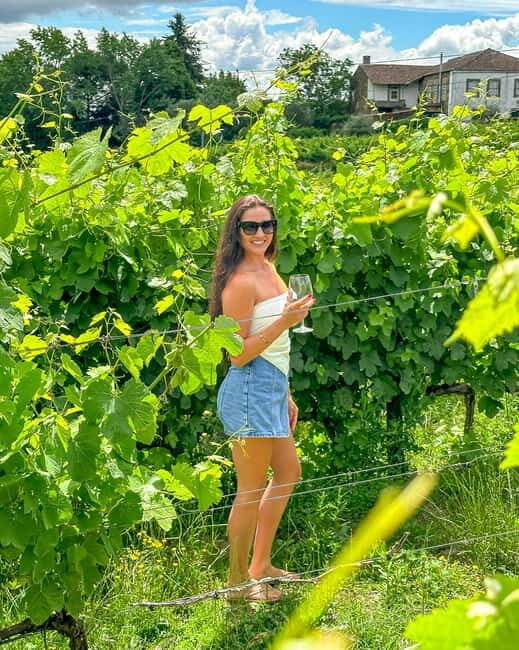 From Porto: Douro Valley Private Tour w/ 3 Wineries & Lunch - What Really Sets This Tour Apart?