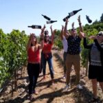 From Porto: Douro Valley Tour with Tastings, Boat & Lunch - A Deep Dive into the Itinerary