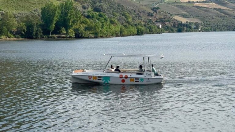 From Porto: Douro Valley, Wine Tasting, Boat, Wine Lunch, Exclusive - Key Points