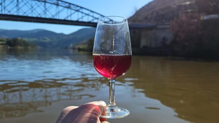 From Porto: Douro Valley Wine Tasting Tour With Hotel Pickup - What We Love and What to Consider