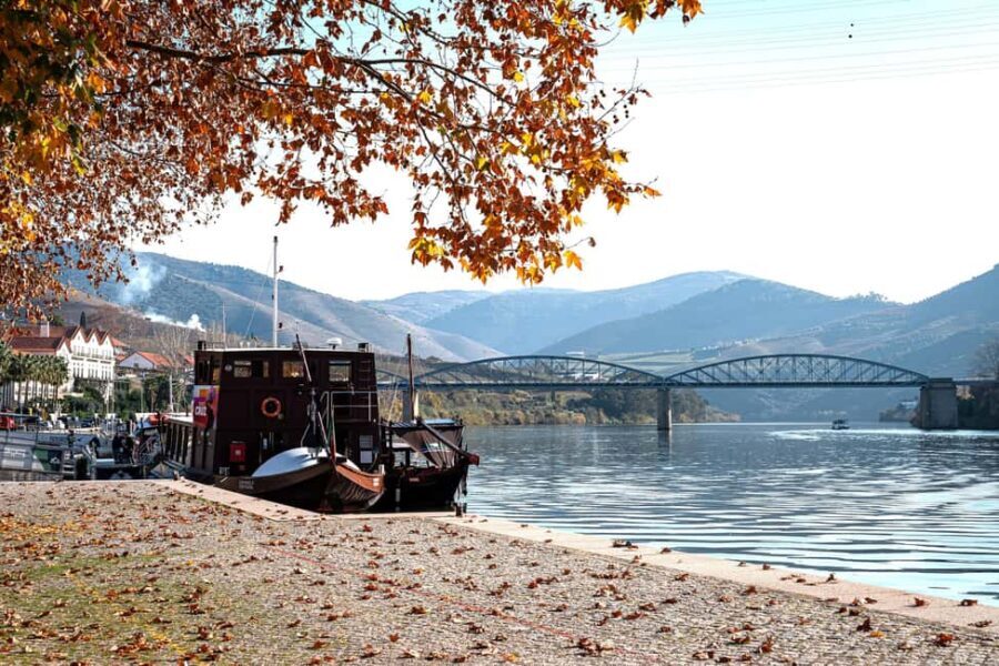 From Porto: Douro Valley Wine Tour with Lunch & River Cruise - Visiting Two Family Wineries