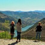 From Porto: Douro Valley Wine Tour with River Cruise & Lunch - The Itinerary — What to Expect