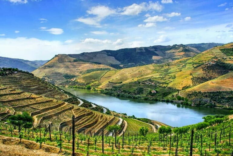 From Porto: Douro Valley with Wineries, Lunch and Boat Trip - The Itinerary in Detail
