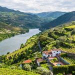 From Porto: Full-Day Douro Historical Tour - Experience Quality and Overall Value