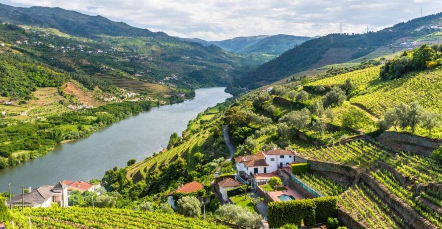 From Porto: Full-Day Douro Historical Tour - Experience Quality and Overall Value