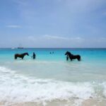 From Porto: Full Day Private Beach Ride + Brunch + Pick-Up - The Itinerary Breakdown