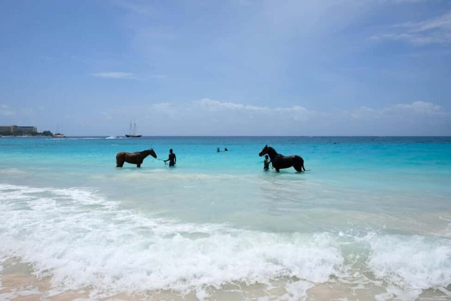 From Porto: Full Day Private Beach Ride + Brunch + Pick-Up - The Itinerary Breakdown