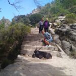 From Porto: Guided tour to Gerês Park - The Practical Side: Price, Duration, & What’s Included