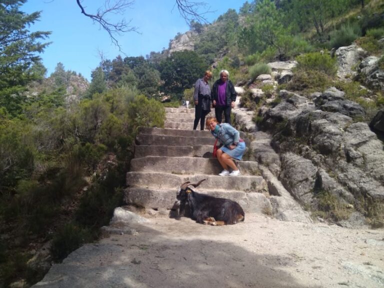 From Porto: Guided tour to Gerês Park - The Practical Side: Price, Duration, & What’s Included