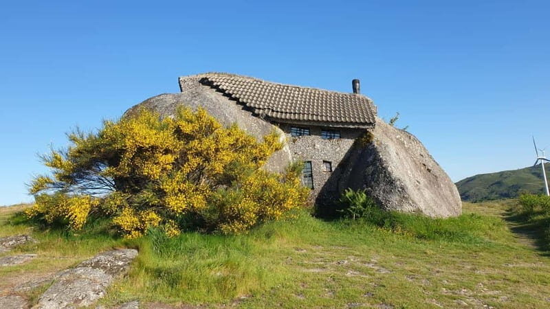 From Porto: Nature and Wine tasting Full-Day Tour - Practical Details: What You Need to Know