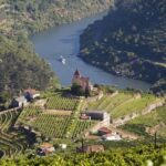 From Porto: Premium Douro Valley Small-Group Wine Tour - The Experience on the Road
