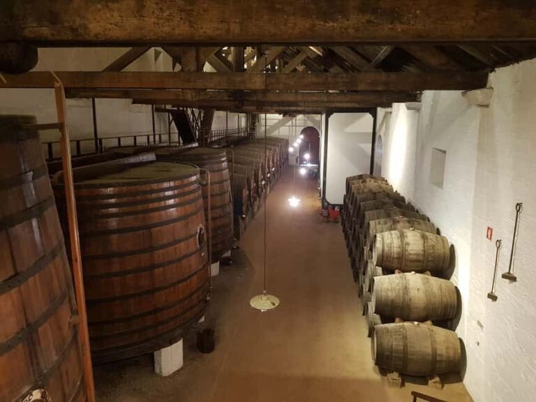 From Porto: Private Douro Valley Tour, Tasting, Boat, Lunch - What to Expect from the Tour